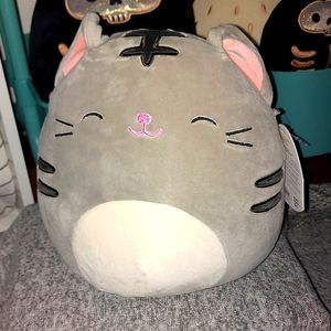 Tally the Cat Squishmallow